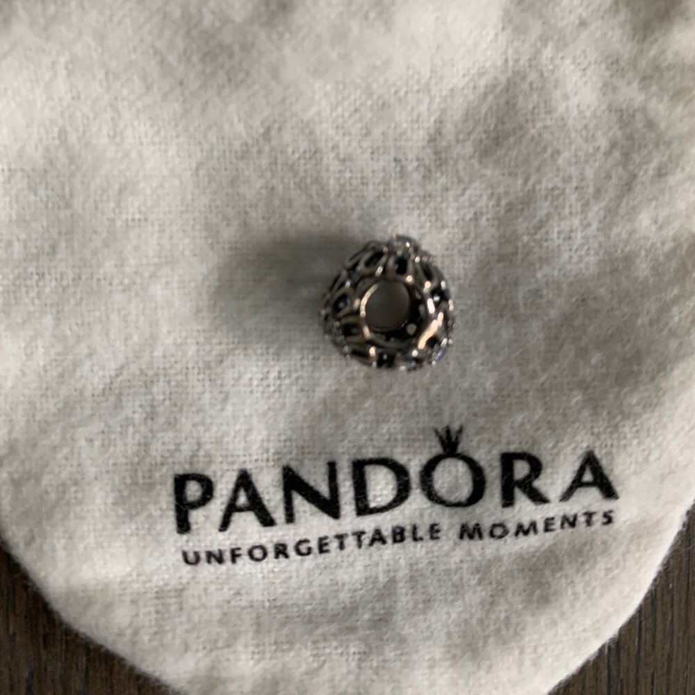 NWOT- Pandora Charm - Picture 3 of 4